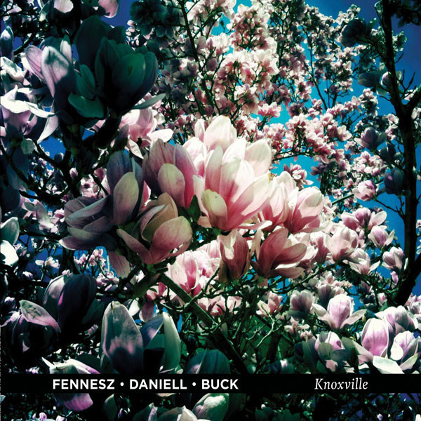FENNESZ / DANIELL / BUCK — Knoxville LP
