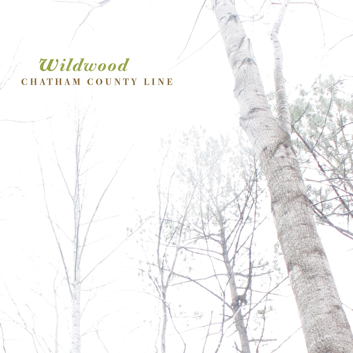 CHATHAM COUNTY LINE — Wildwood