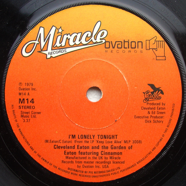 RAFAEL TORAL — SPECTRAL EVOLUTION