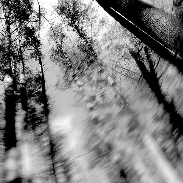 LOESS — TOTEMS