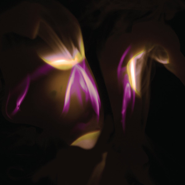 SHEDIR — BEFORE THE LAST LIGHT IS BLOWN