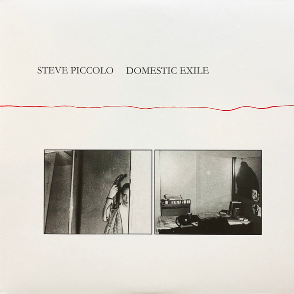 STEVE PICCOLO — Domestic Exile