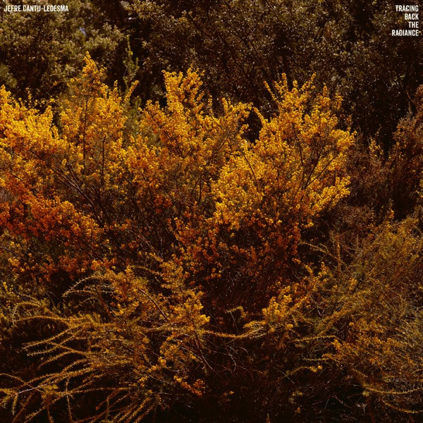 JEFRE CANTU-LEDESMA — TRACING BACK THE RADIANCE