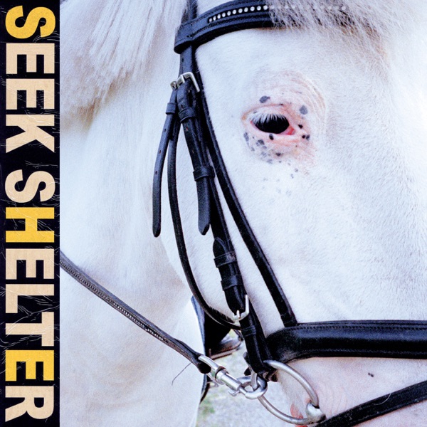 ICEAGE — SEEK SHELTER