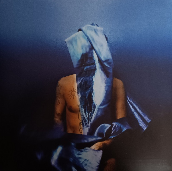 DEVENDRA BANHART — FLYING WIG