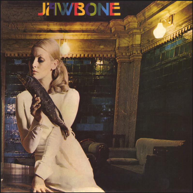 JAWBONE — Jawbone
