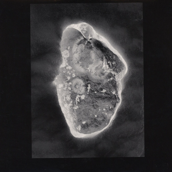 LUCIANO LAMANNA — In Vitro