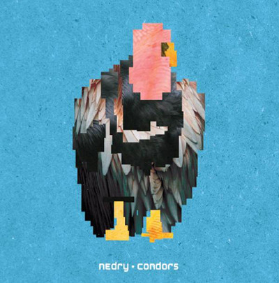 NEDRY — CONDORS