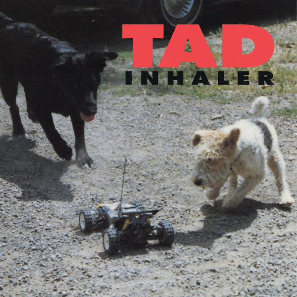 TAD — INHALER