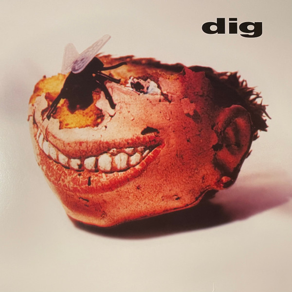 DIG — DIG