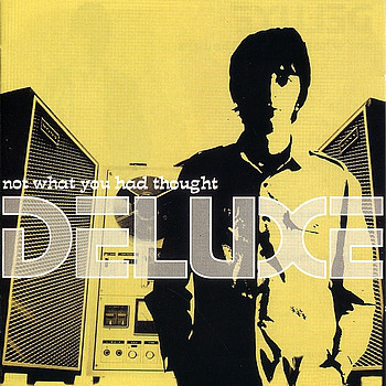 DELUXE — Not What You Had Thought (Silver Vinyl)