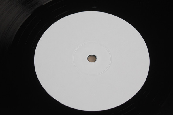 MATTHEW TAVARES & LELAND WHITT — VISIONS