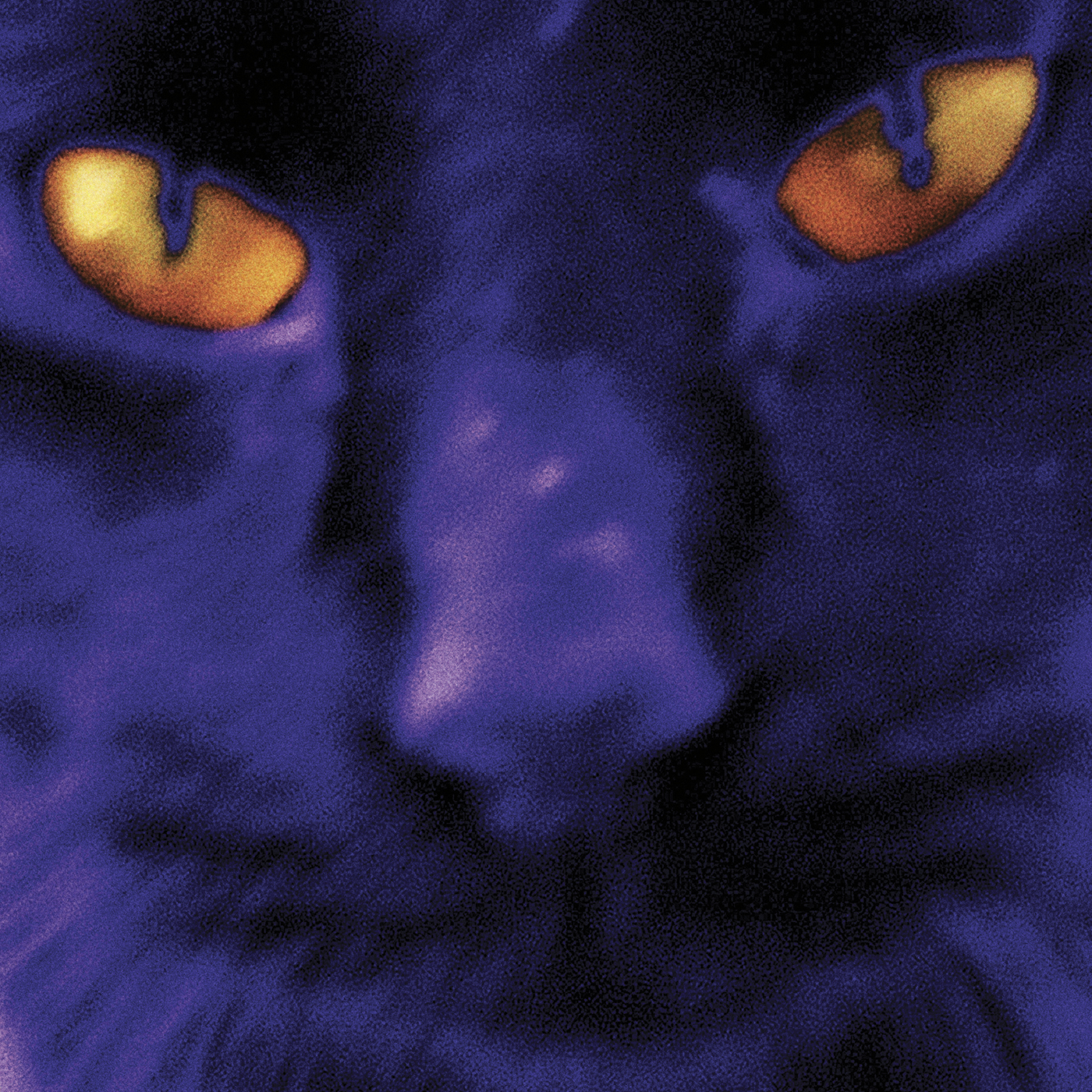 DAVID KILGOUR — BOBBIE'S A GIRL