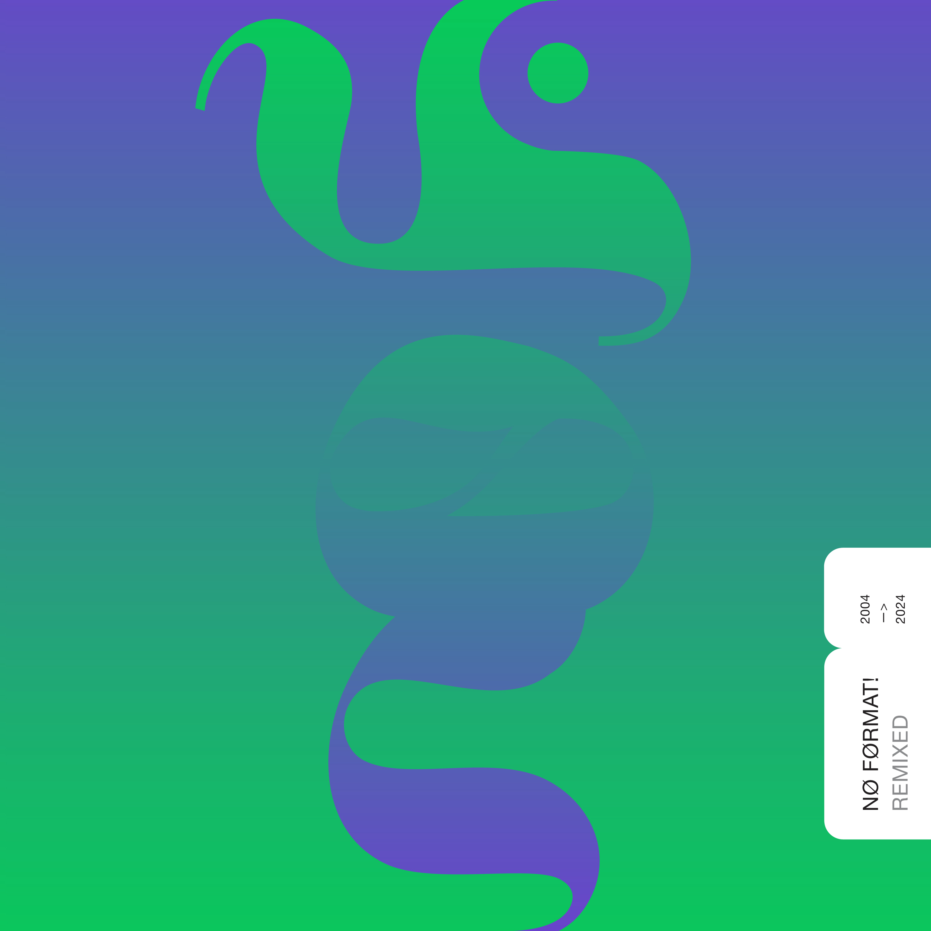 VARIOUS ARTISTS — NO FORMAT! REMIXED