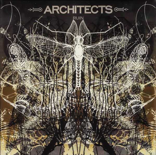 ARCHITECTS — RUIN