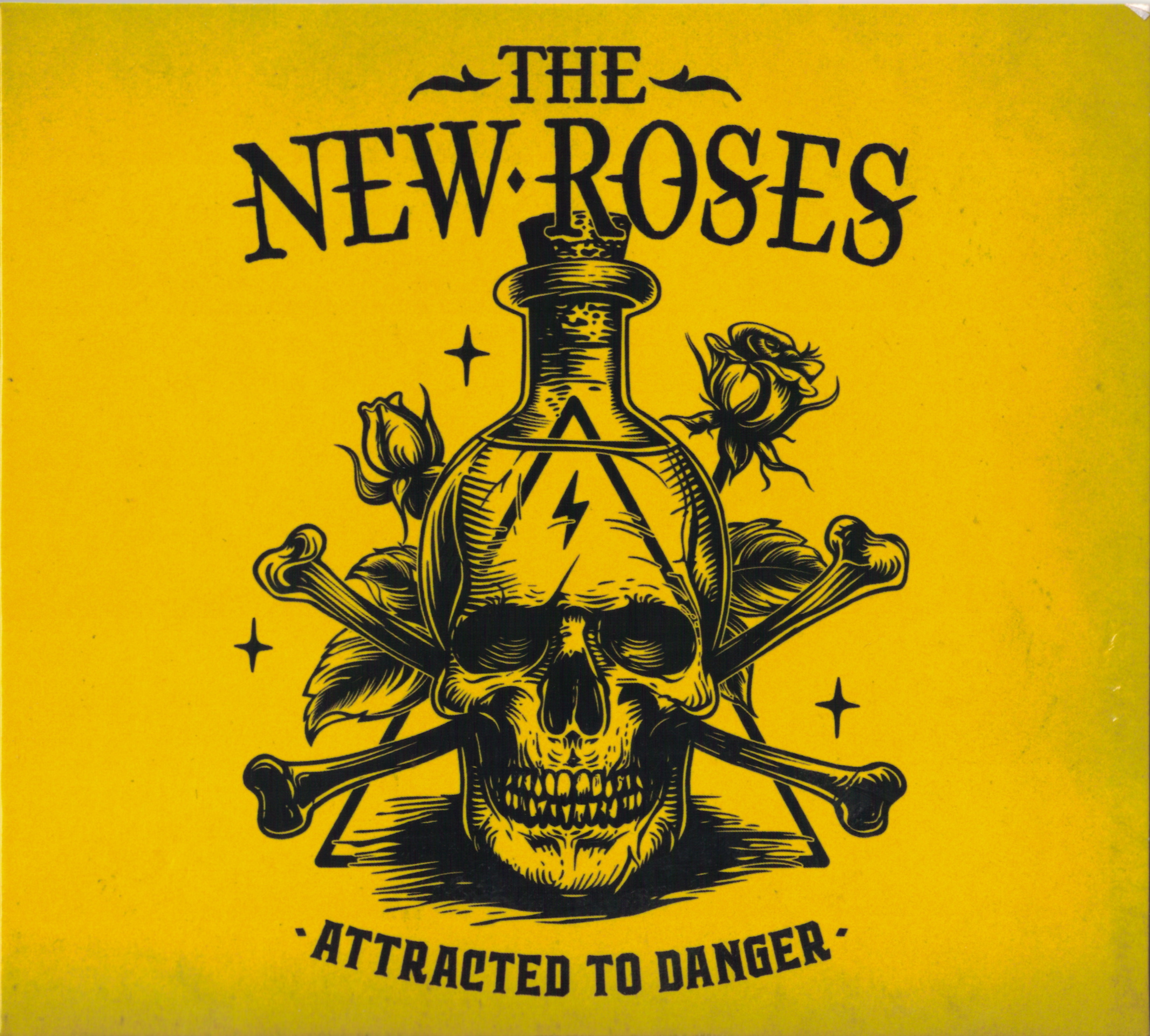 THE NEW ROSES — ATTRACTED TO DANGER