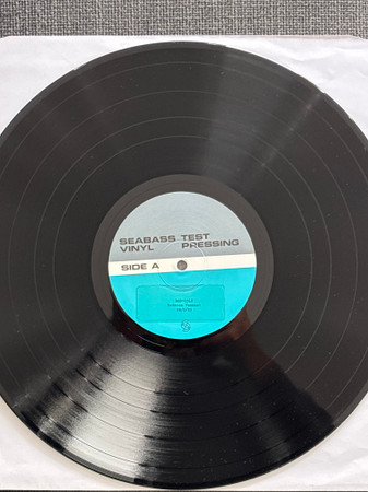 REBECCA VASMANT — WHO WE ARE  BECOMING