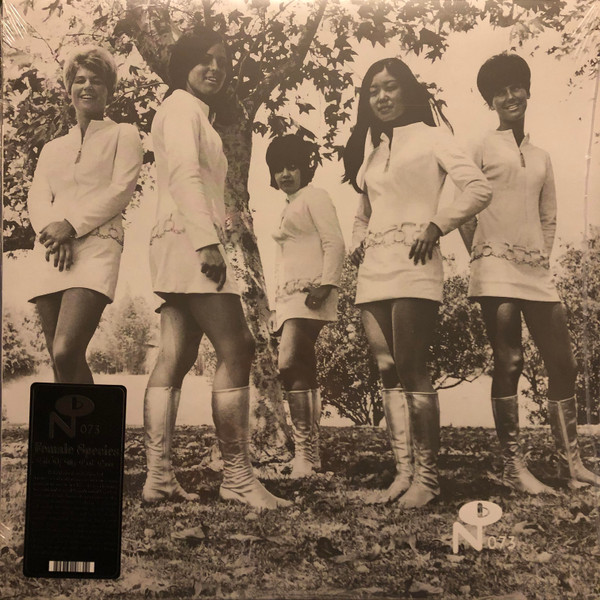 FEMALE SPECIES — TALE OF MY LOST LOVE
