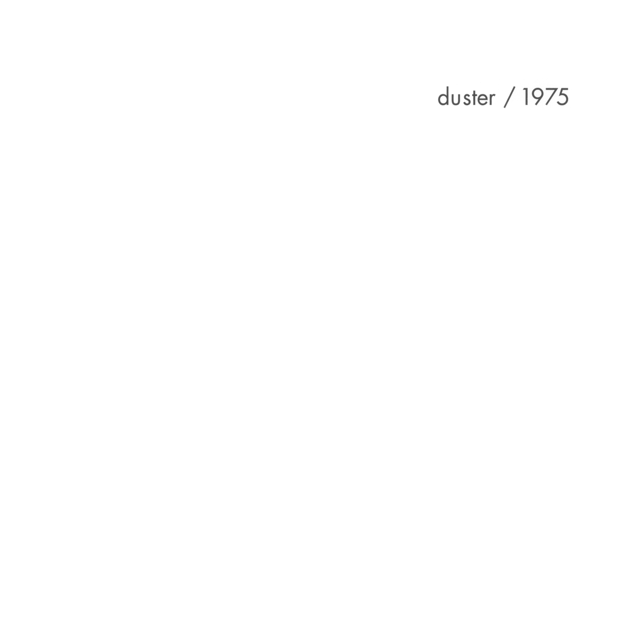 DUSTER — 1975