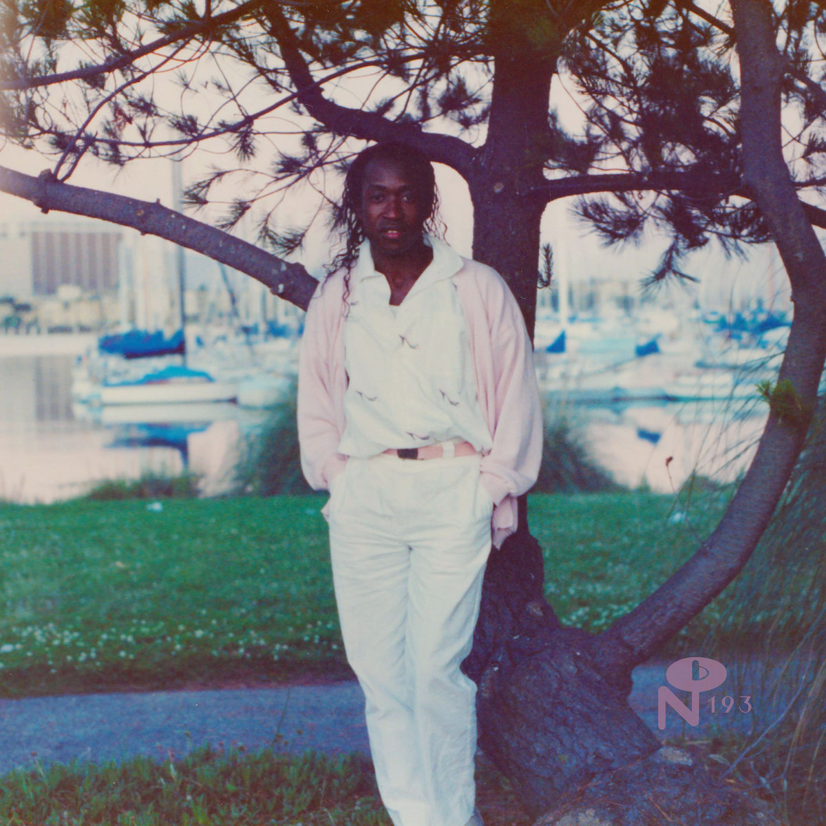 PETER BARCLAY — I'M NOT YOUR TOY