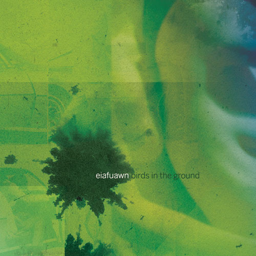EIAFUAWN — BIRDS IN THE GROUND