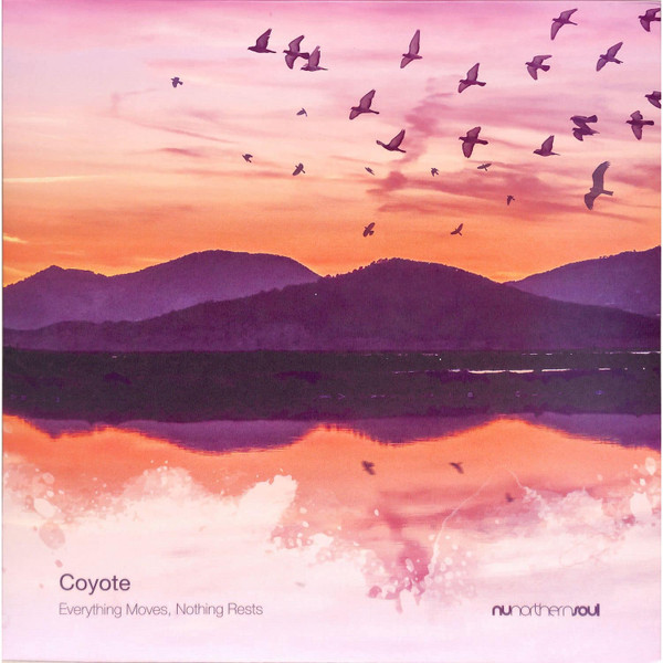 Coyote — Everything Moves, Nothing Rests