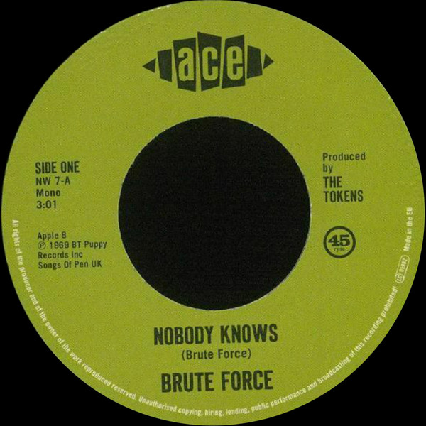 Brute Force — Nobody Knows / King Of Fuh