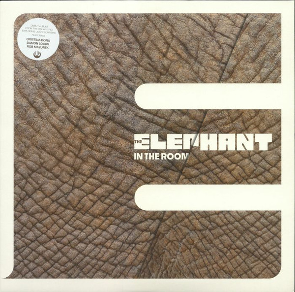 The Elephant — In the Room