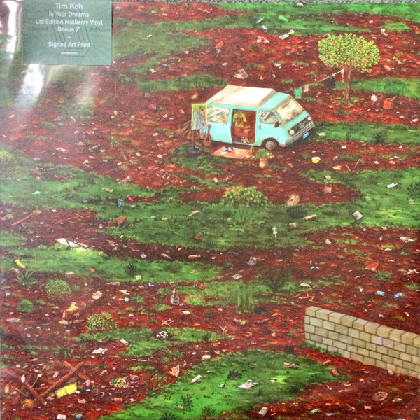 TIM KOH — In Your Dreams