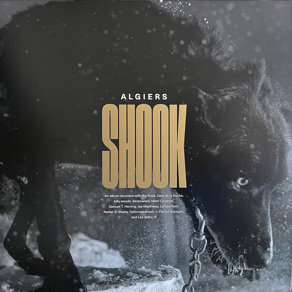 ALGIERS — SHOOK