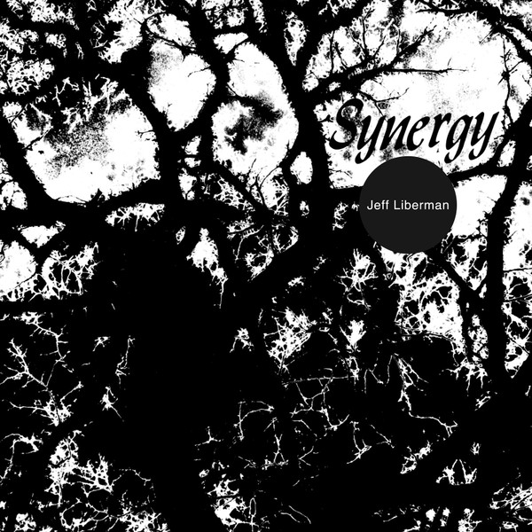 JEFF LIBERMAN — Synergy