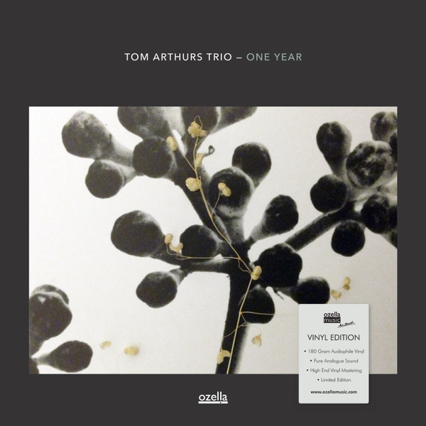 TOM ARTHURS TRIO — ONE YEAR