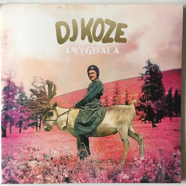 DJ KOZE — AMYGDALA