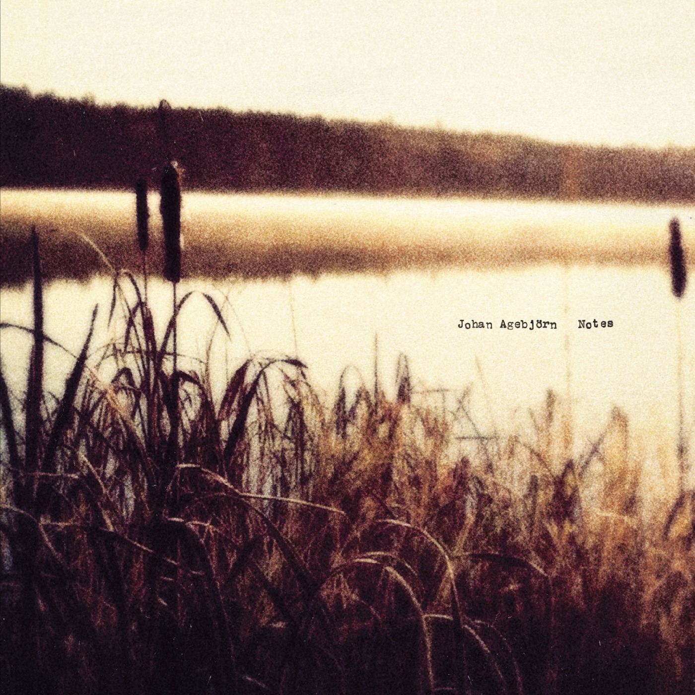 JOHAN AGEBJORN — Notes