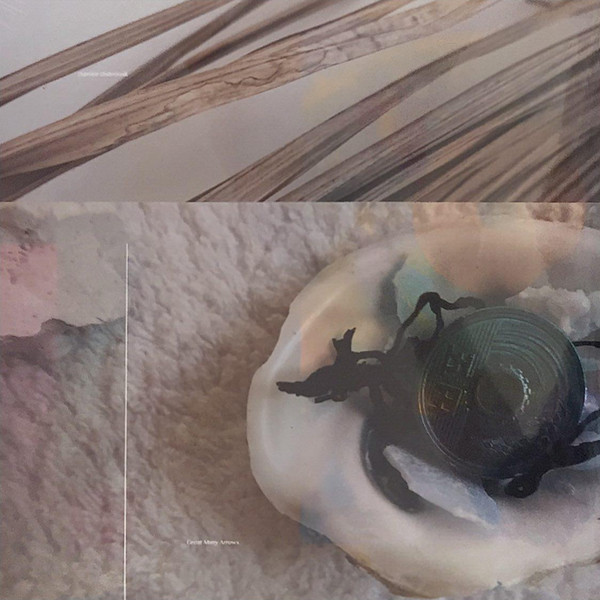 DAMIEN DUBROVNIK — GREAT MANY ARROWS