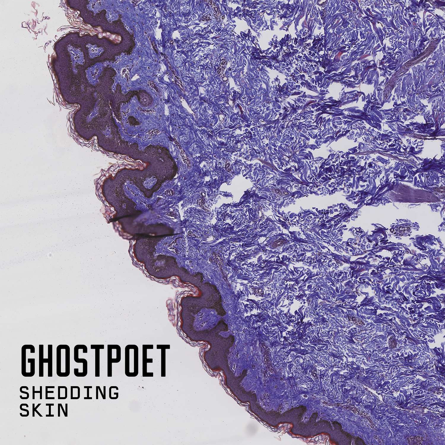 GHOSTPOET — SHEDDING SKIN