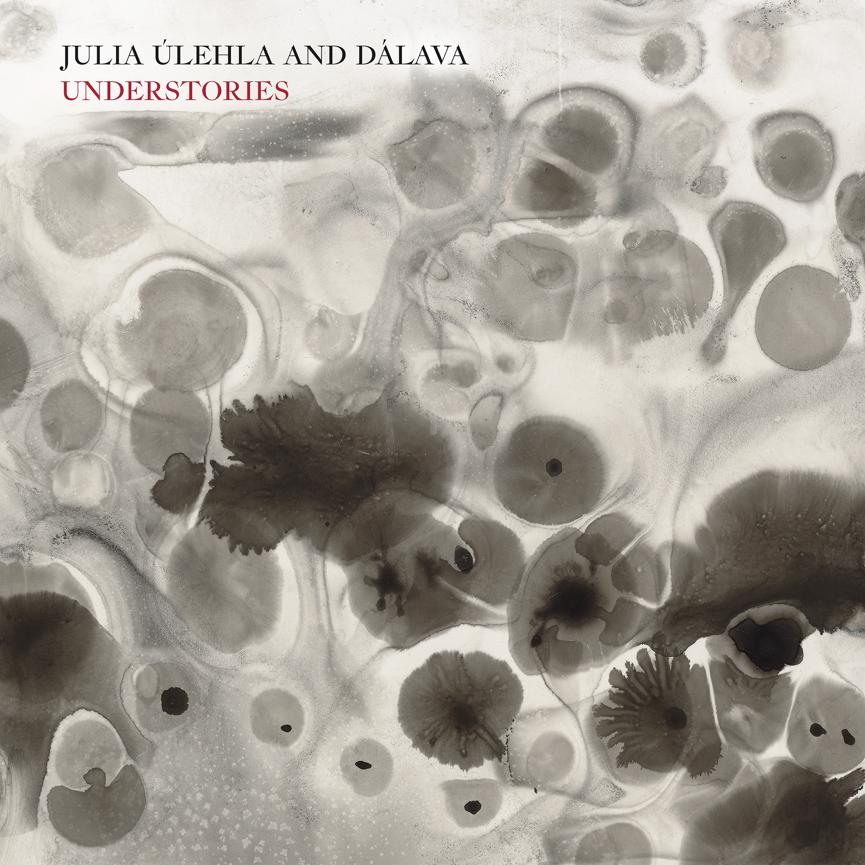 JULIA ULEHLA & DALAVA — UNDERSTORIES