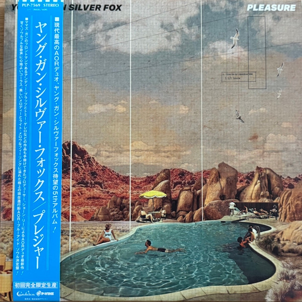 YOUNG GUN SILVER FOX — PLEASURE