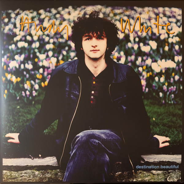 ANDY WHITE — DESTINATION BEAUTIFUL