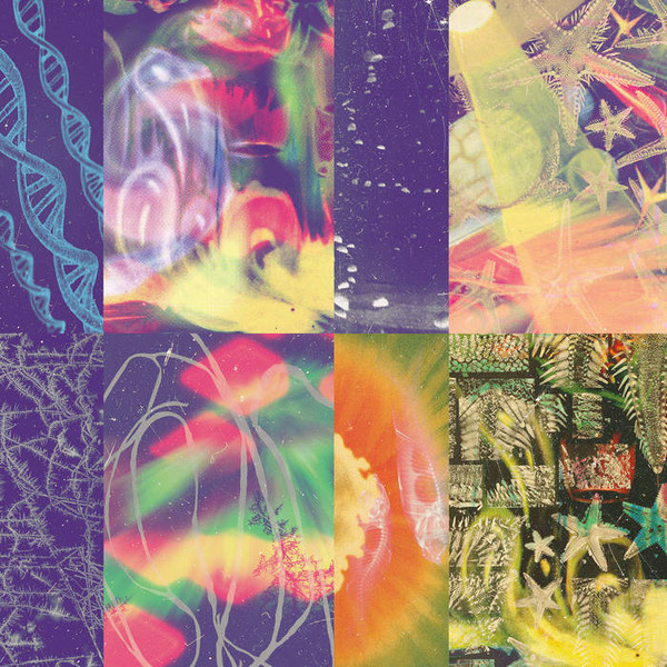NAP EYES — THE NEON GATE