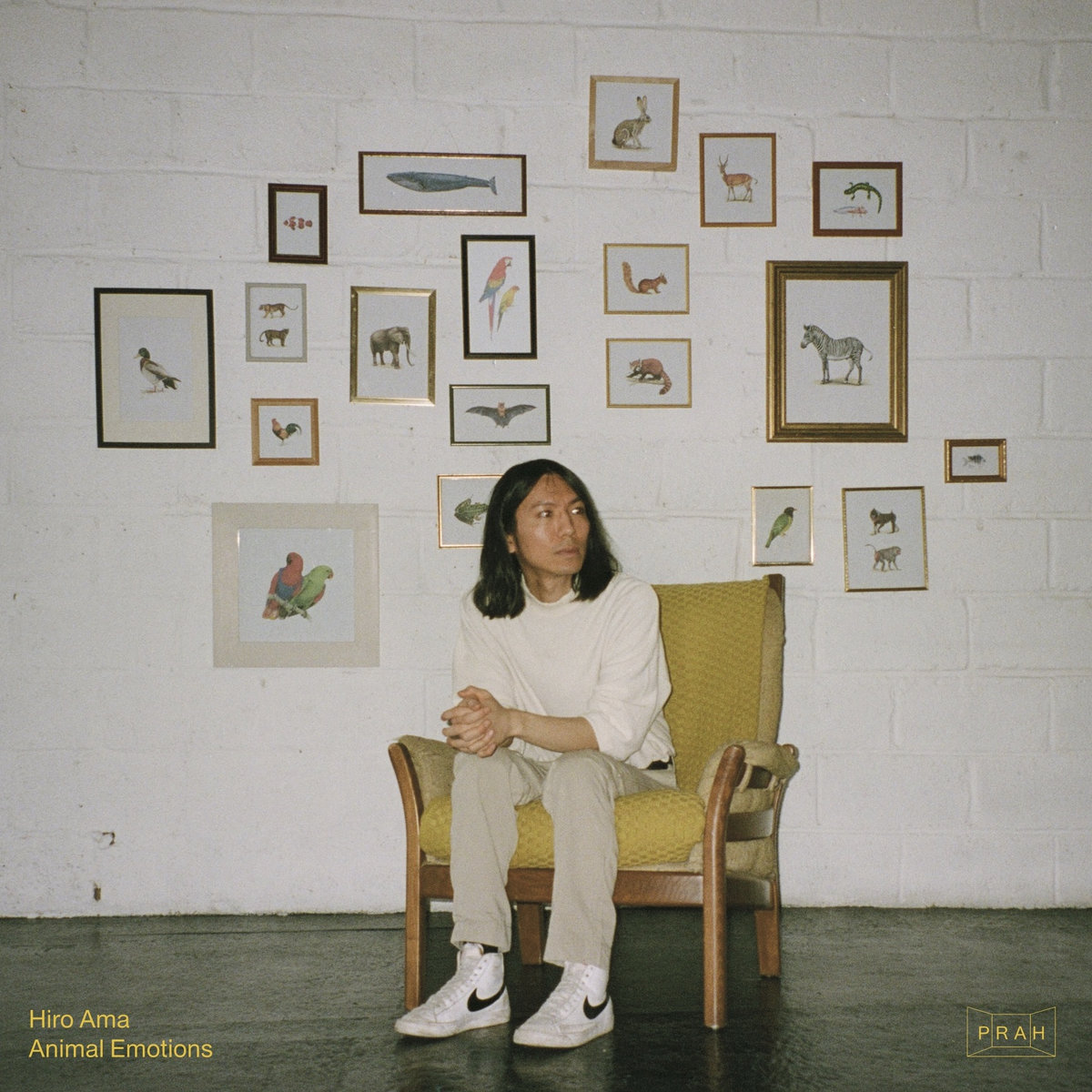 HIRO AMA — ANIMAL EMOTIONS EP