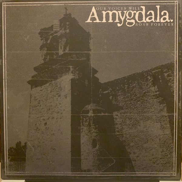 AMYGDALA — OUR VOICES WILL SOAR FOREVER