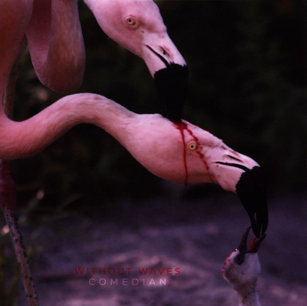 WITHOUT WAVES — COMEDIAN