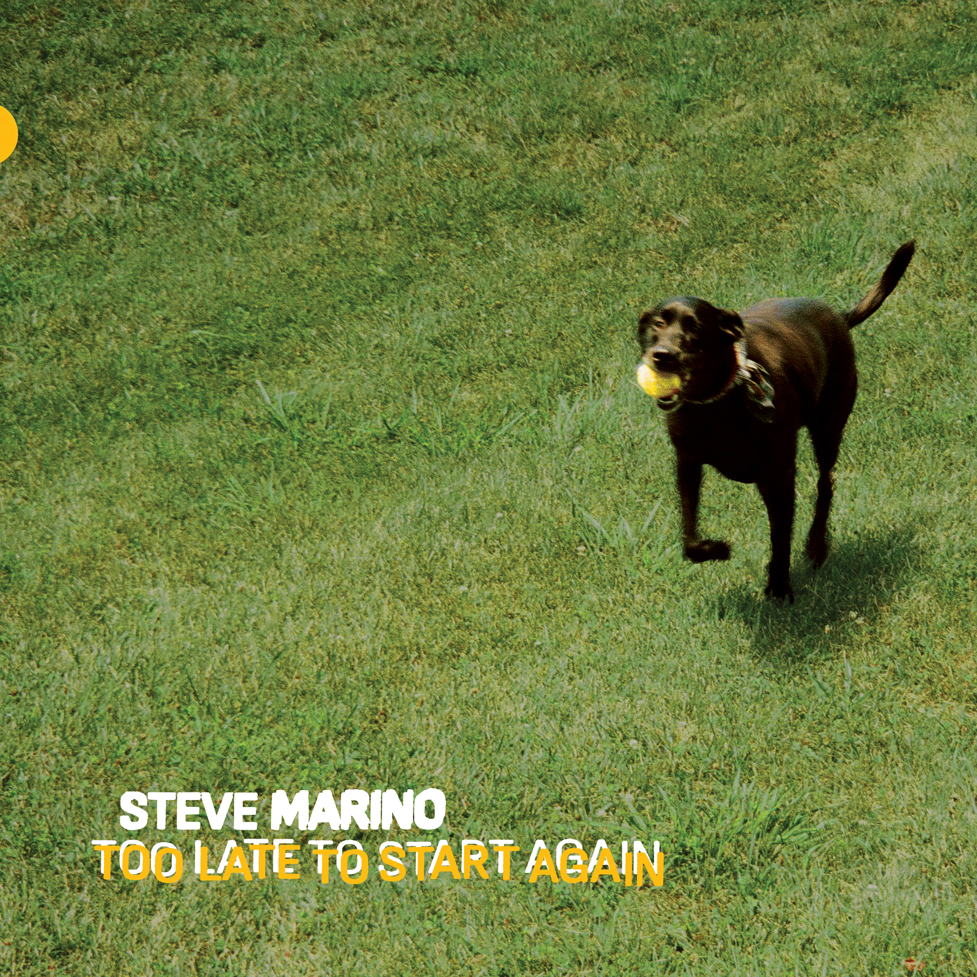 STEVE MARINO — Too Late To Start Again