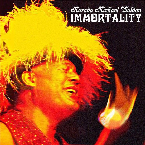 NARADA MICHAEL WALDEN — IMMORTALITY