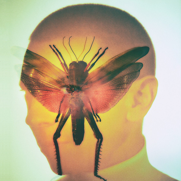 MAELSTROM — Rhizome