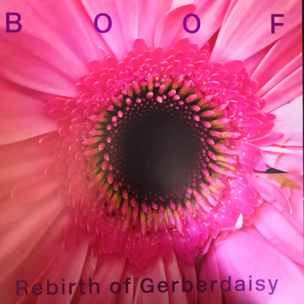 BOOF — REBIRTH OF GERBERDAISY