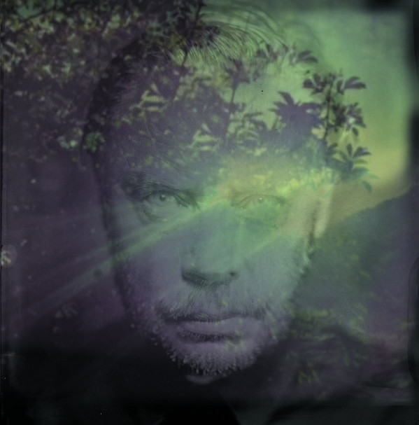 DELANEY DAVIDSON — SHINING DAY