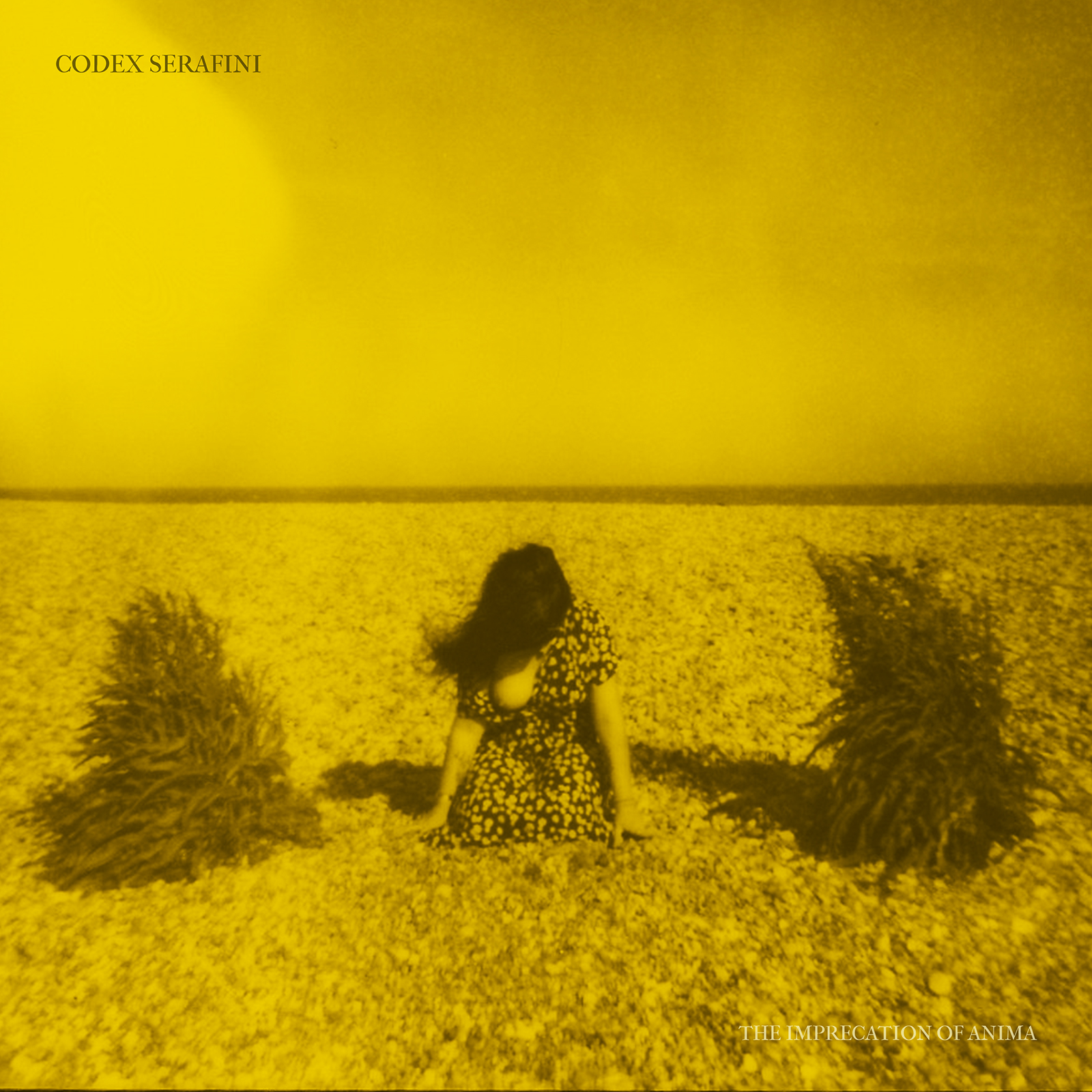 CODEX SERAFINI — The Imprecation Of Anima