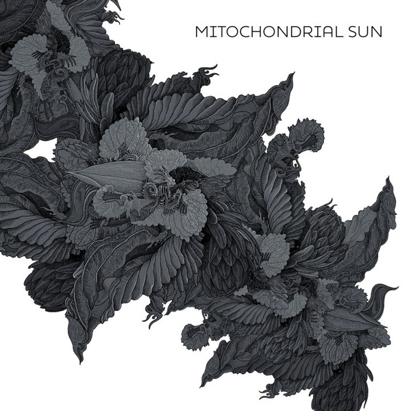 MITOCHONDRIAL SUN — MITOCHONDRIAL SUN